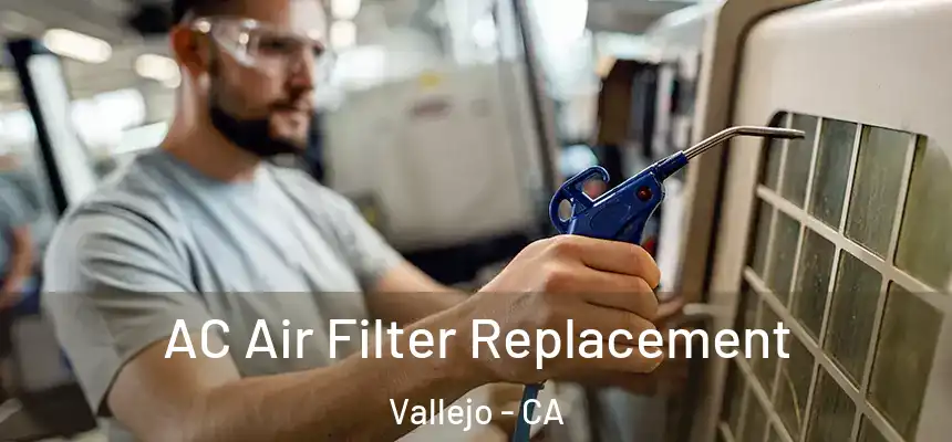  AC Air Filter Replacement Vallejo - CA