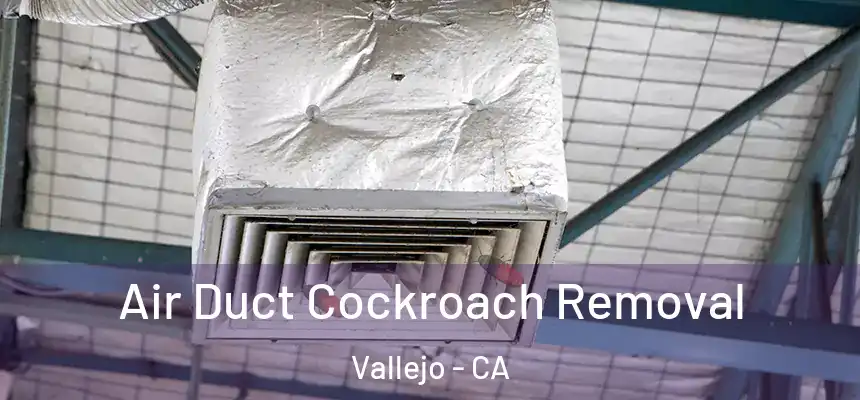 Air Duct Cockroach Removal Vallejo - CA