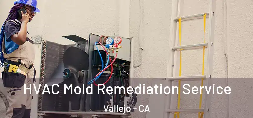  HVAC Mold Remediation Service Vallejo - CA