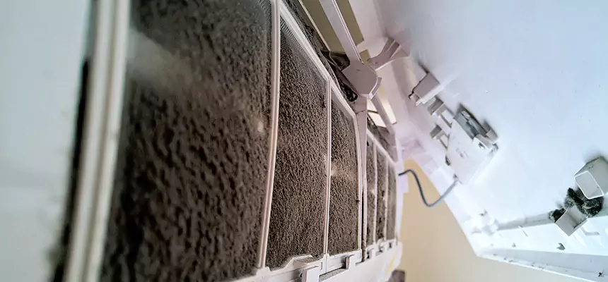 Preventive Air Duct Bacteria Removal in Vallejo