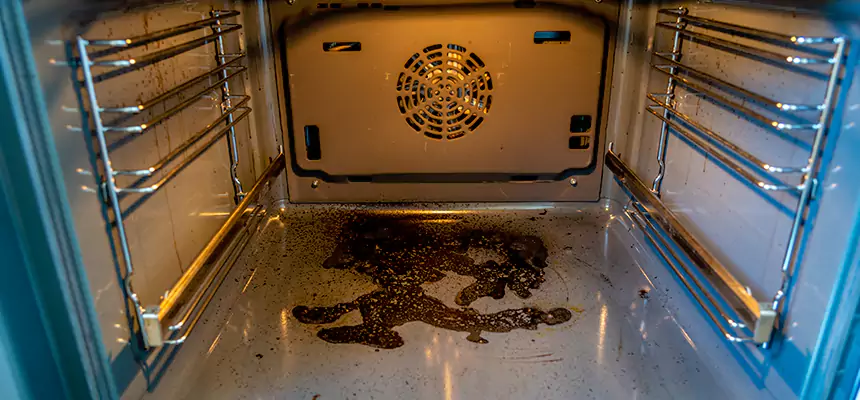 Our Dryer Vent Mold Cleaning Services in Vallejo, CA