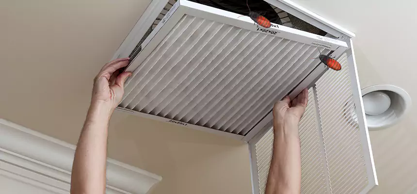 Our Insect Removal from Air Ducts Services in Vallejo, CA