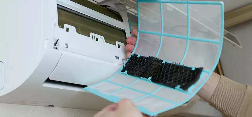 Gentle Ductwork Odor-Control Pet Dander Duct Cleaning in Vallejo, CA