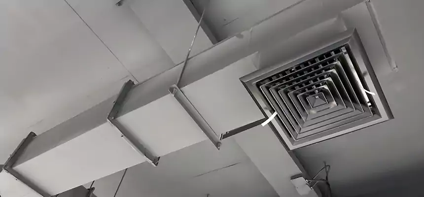 Our Rodent Droppings In Vents Services in Vallejo, CA