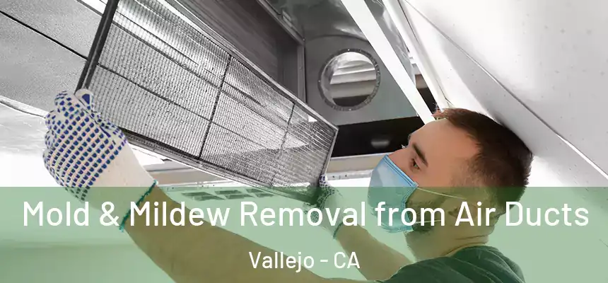 Mold & Mildew Removal from Air Ducts Vallejo - CA