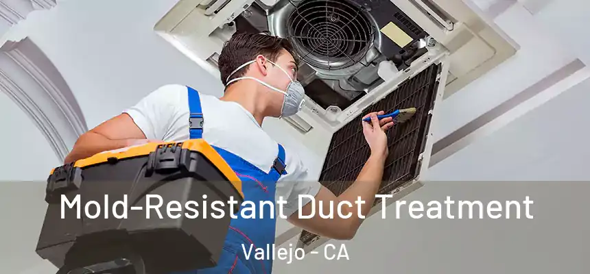  Mold-Resistant Duct Treatment Vallejo - CA