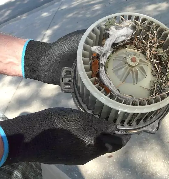 About Air Duct Mice Removal in Vallejo, CA