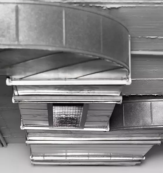 Professional Air Duct Pet Hair Removal in Vallejo, CA