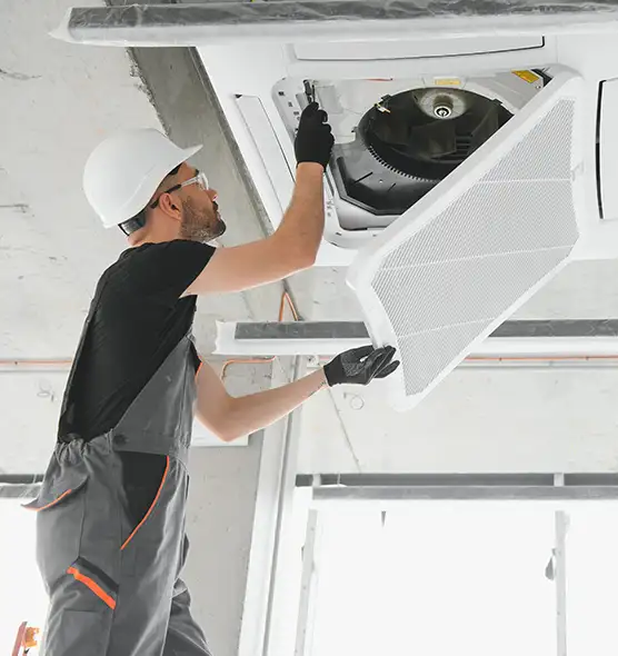 About Air Duct Rodent Removal in Vallejo, CA