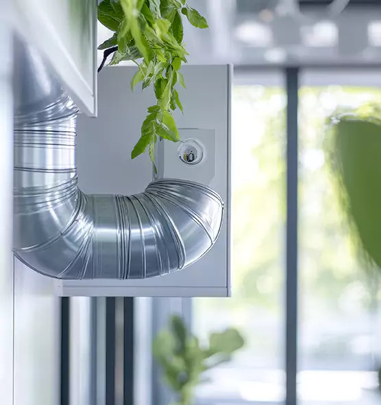 Professional Eco-Friendly Duct Cleaning Services in Vallejo, CA