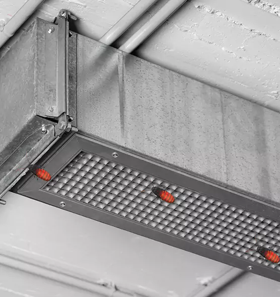 Affordable Insect Removal from Air Ducts in Vallejo, CA