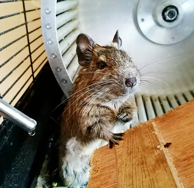 Why Homeowners & Businesses Trust Us Vallejo, CA