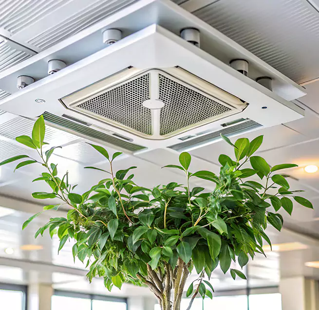 Why Homeowners & Businesses Trust Us in Vallejo, CA