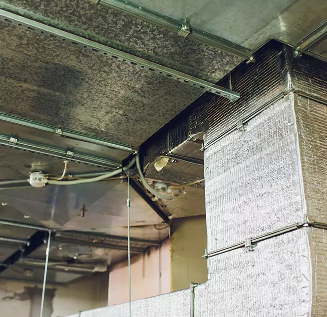 Why Homeowners & Businesses Trust Us in Vallejo, CA?